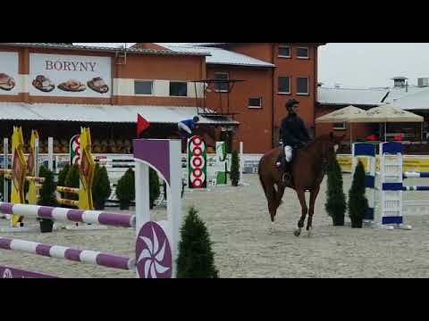 Olivar (Arezzo VDL x Ol Metta) 2019/09/07 II półfinał SCMK Olsza - 115cm I SPRZEDANY / SOLD