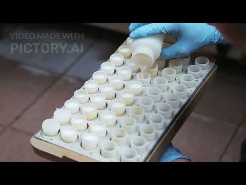 Somewhere in Northern Italy | A Quiet Day in the Countryside