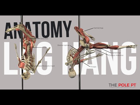Pole Anatomy - Outside Leg Hang