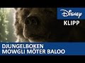 Lär Känna Baloo Djungelboken