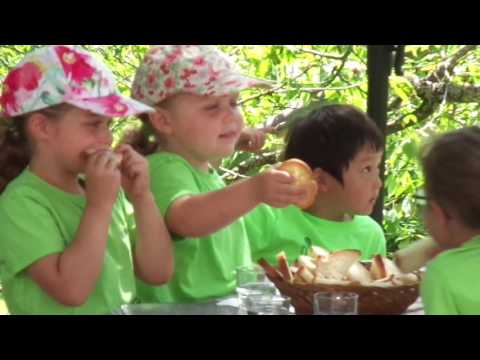 3歳児からのサマーキャンプ 快晴ピクニックランチ【スイス留学.com】