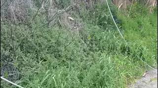 ma-si-puo-lasciare-una-contrada-in-queste-condizioni