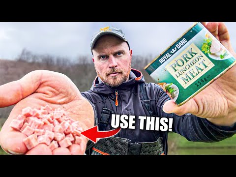 Catch More Carp Using Meat!