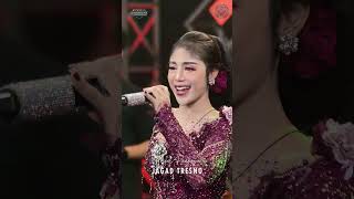 Download lagu JAGAD TRESNO #prigelpangayu #dangdut #anjarweningmusic mp3