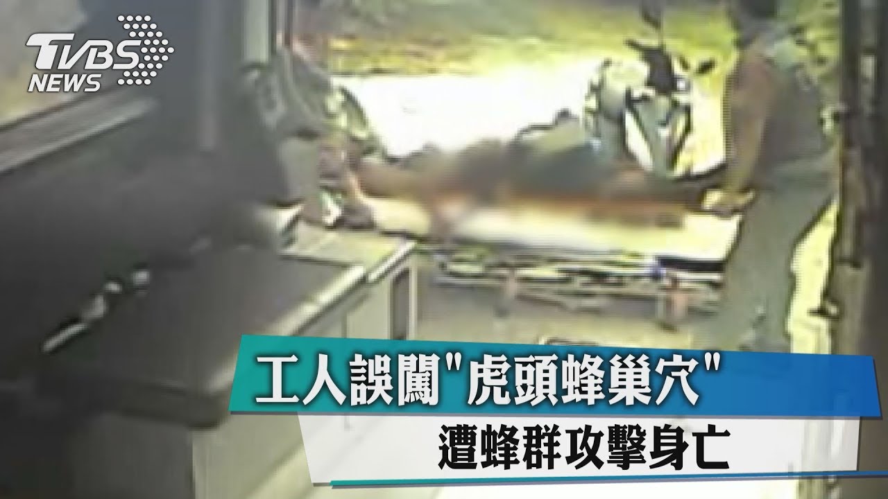 工人誤闖「虎頭蜂巢穴」　遭蜂群攻擊身亡