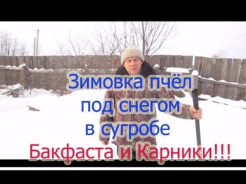 ЗИМОВКА ПЧЁЛ ПОД СНЕГОМ Бакфаста и Карники ЗАСЫПКА ПУСТОТ СНЕГОМ . Beekeeping.🔥🔥🔥