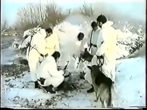 Orkestar 204. Teslicke br. - Danas sam opet na smjeni