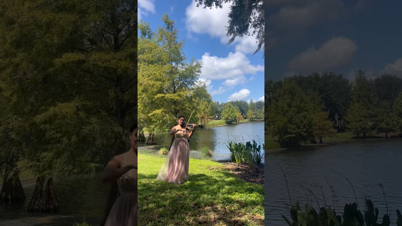 Promotional video thumbnail 3 for Laurens Signature Music
