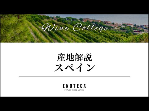 ポッジョ・カティーノについて詳しく解説