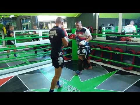 Rasim Alunovic vs coach Predrag Stankovic