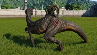 Jurassic World Evolution - VELOCIRAPTOR (MAX ATTACK LEVEL) vs INDORAPTOR - Gameplay HD
