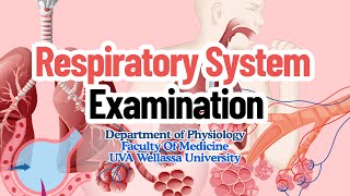 Respiratory System Examination 🫁 | Step-by-Step Clinical Guide