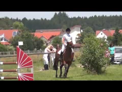 Sportpferde ASG -  Pepermint  Springpferde L  Dickenreishausen 7-2013