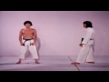 The Art Of High Impact Kicking Hwang Jang Lee
