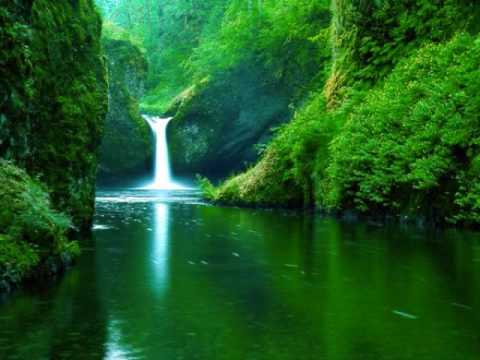 Moonbeam - Nature (Joel Armstrong Remix)