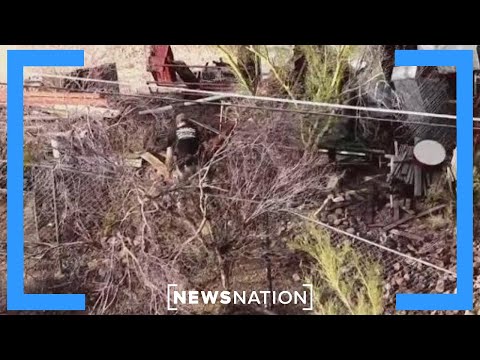 FBI, SWAT teams swarm brush around Annie Guthrie's home | The Hill