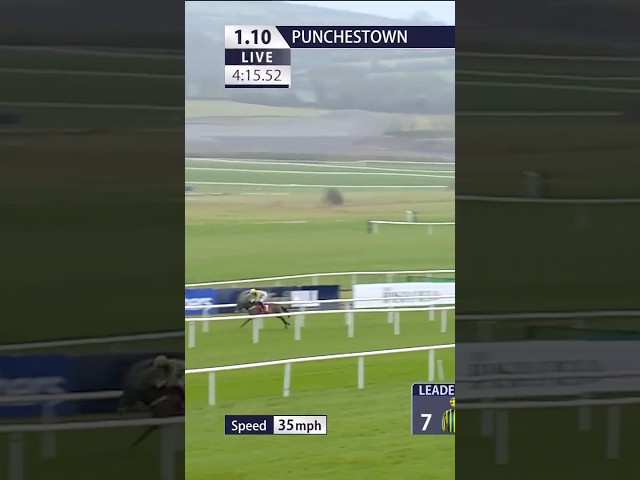 Thumbnail for Post ID: hVPEvO5cntw