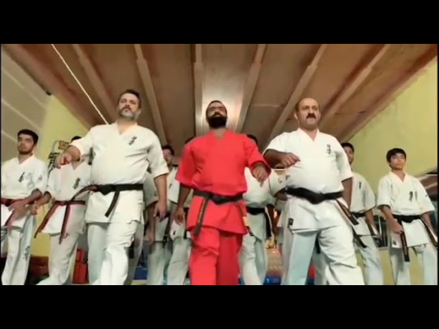 ایلیا در جستجوی قهرمان