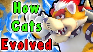 Super Mario‭ ‬-‭ ‬Evolution Of The SUPER BELL‭ (‬Cat Mario‭ ‬Power Up‭)
