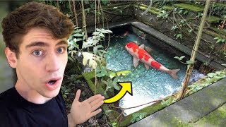 Hidden KOI POND in Sacred Forest... (enter at own risk)