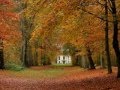 Howard Shore Visiting Home and Pachelbel's Canon in D