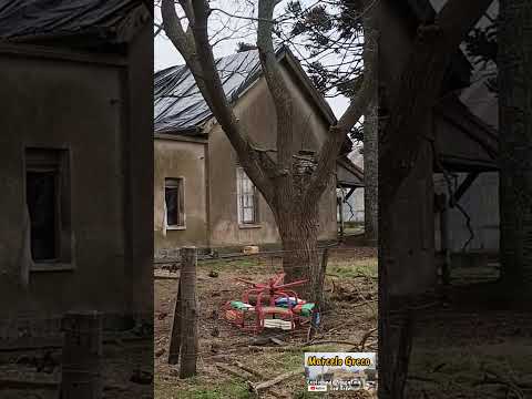 ¿Estación Granja en el San Martín #trenesargentinos #canalmarcelogreco #lineasanmartin #chacabuco