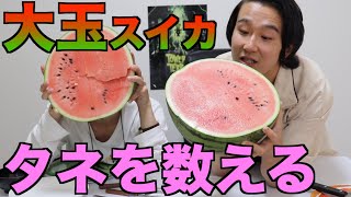夏だからスイカの種数えてみた！