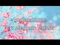 Walkashame - Meghan Trainor (Lyrics) 