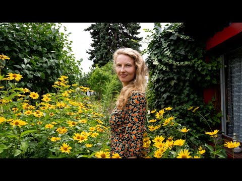 Meine Art zu gärtnern & Vorschriften im Kleingarten