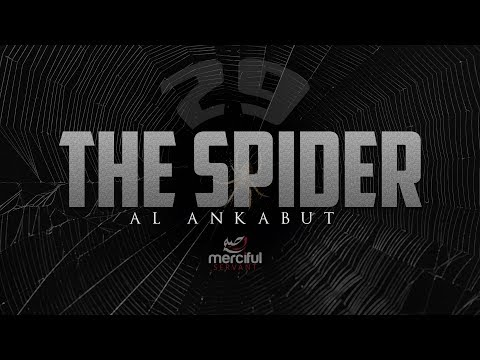 THE SPIDER (HEART TOUCHING QURAN)