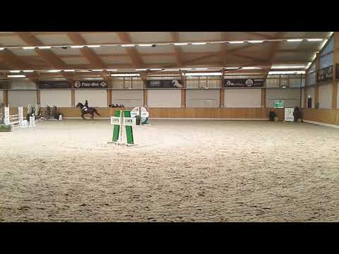 Erstes Video / clip -   Leofly