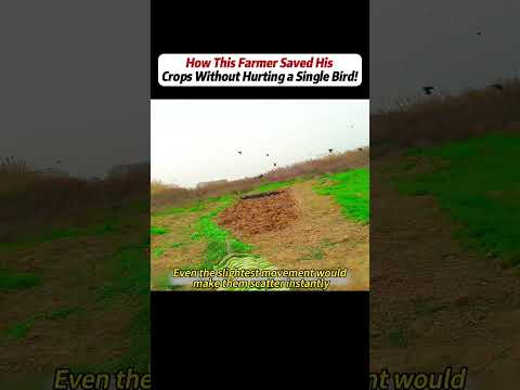 #handwork #Manufacturing #Build #Creativity #Repair #DIY #challenge #Treasurehunt #animalworld