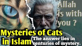 The Amazing Mysteries of Cats in Islam You Never Knew!