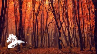 David Arkenstone (with The California String Quartet) - The Turning Of The Year [Fall Visualizer]