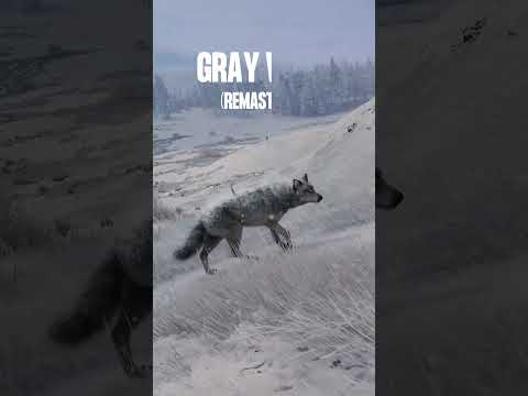 ALL 19 species found on Alberta! #theHunterCOTW