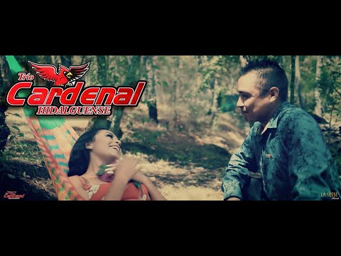 Le Diré que me Gusta Cardenal Hidalguense (Video Oficial)