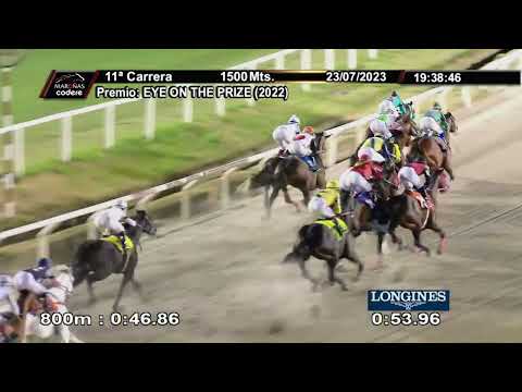 230723 c11 MR. BINGO