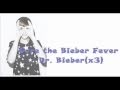 Justin Bieber Dr. Bieber (Lyrics on the screen ...
