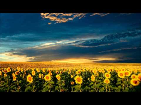 Escaflowne Movie OST - Colors