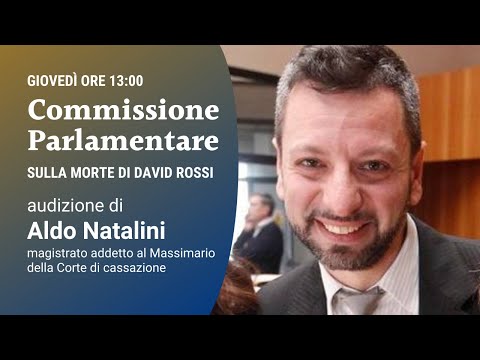 Commissione parlamentare sulla morte di David Rossi: Aldo Natalini - parte 1