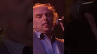 Pink Floyd/Van Morrison - Comfortably Numb #shorts #fyp #pinkfloyd #rock #music #song #funfacts #fy