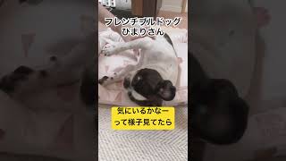 最近のお気に入り😄 #shorts