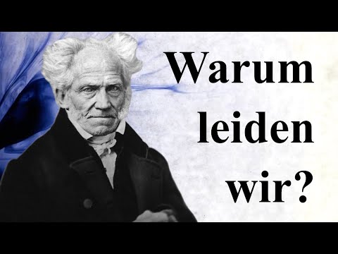 Schopenhauer: Die Welt als Wille und Vorstellung (Klassiker der Philosophie)