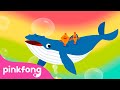 Paus | Series Binatang Laut | Lagu Anak | Pinkfong dan Baby Shark