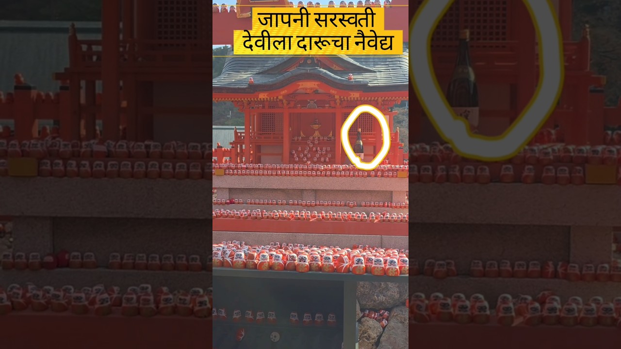 का जपानमध्ये देवाला साके अर्पण करतात? #japanesewithpunam #jlptmarathi #japan