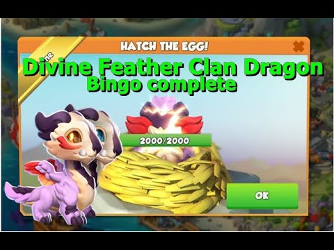 Hatched Feather Clan Dragon-Dragon Mania Legends  | 7 Momotu Bingo Complete | DML