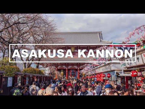 ĐI CHÙA SENSOJI XIN XĂM CẦU BÌNH AN TOKYO NHẬT BẢN | ASAKUSA KANNON JAPÃO | Thảo Chan#8