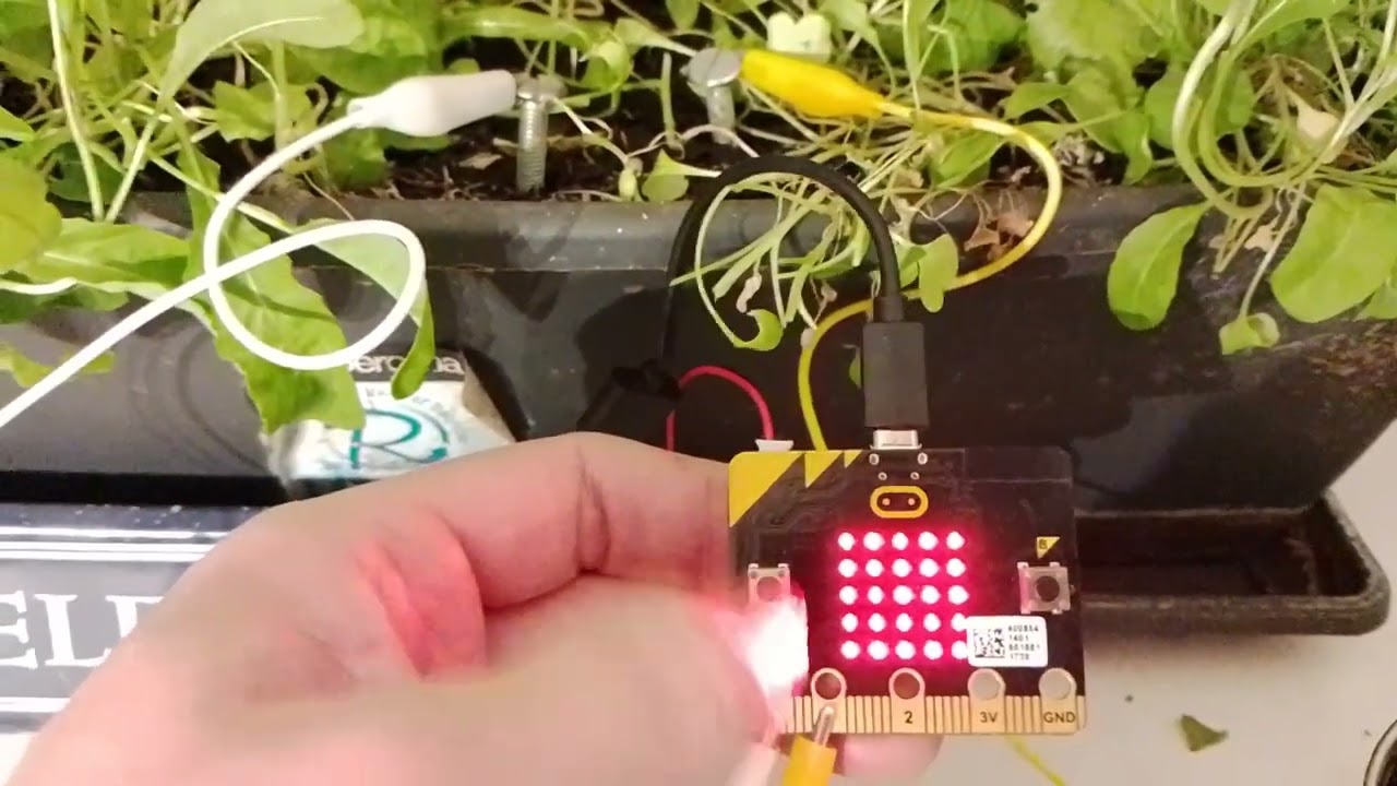 Building and programming a Micro:Bit watering system