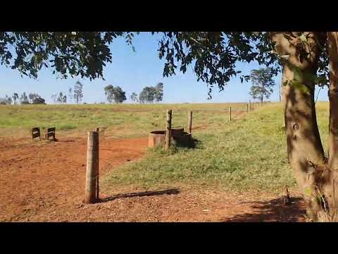 Curtindo um churrasquinho no sitio do primo Icaraima PR