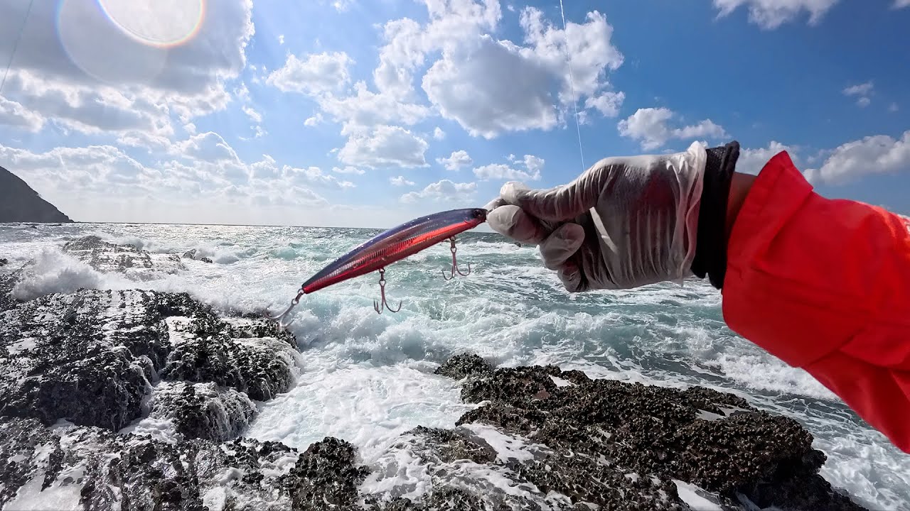 学びまみれの荒磯ヒラスズキ🫧